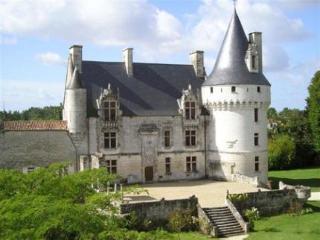 Chateau De Crazannes Kültér fotó